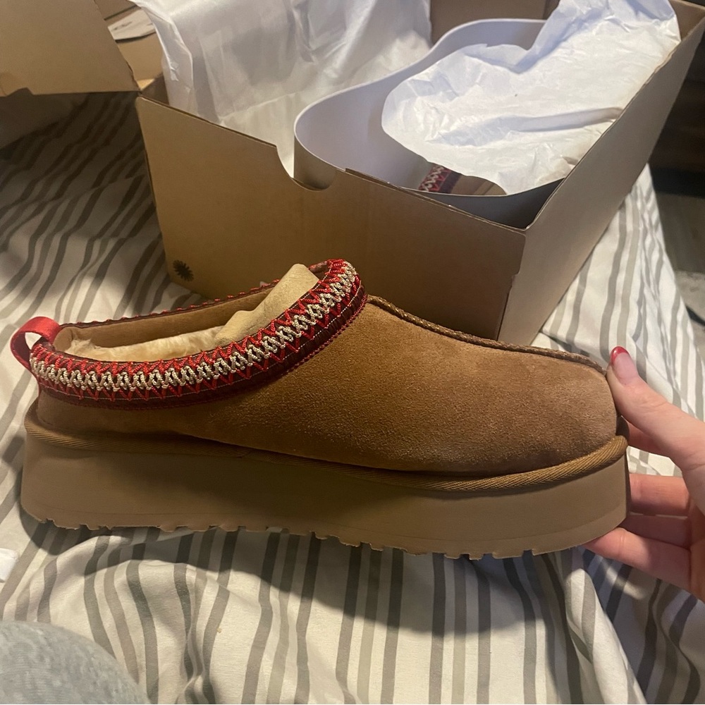 Brand New Tazz Uggs